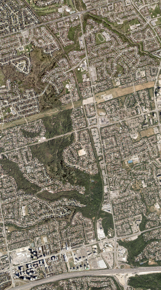 East Don Parkland — site photograph
