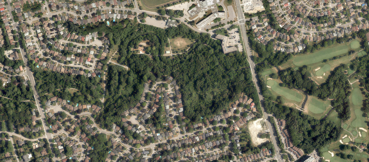 Cedar Brook Park — site photograph