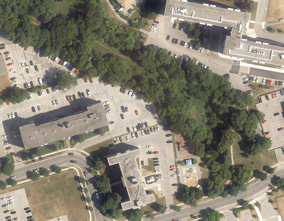 Trudelle Park — site photograph