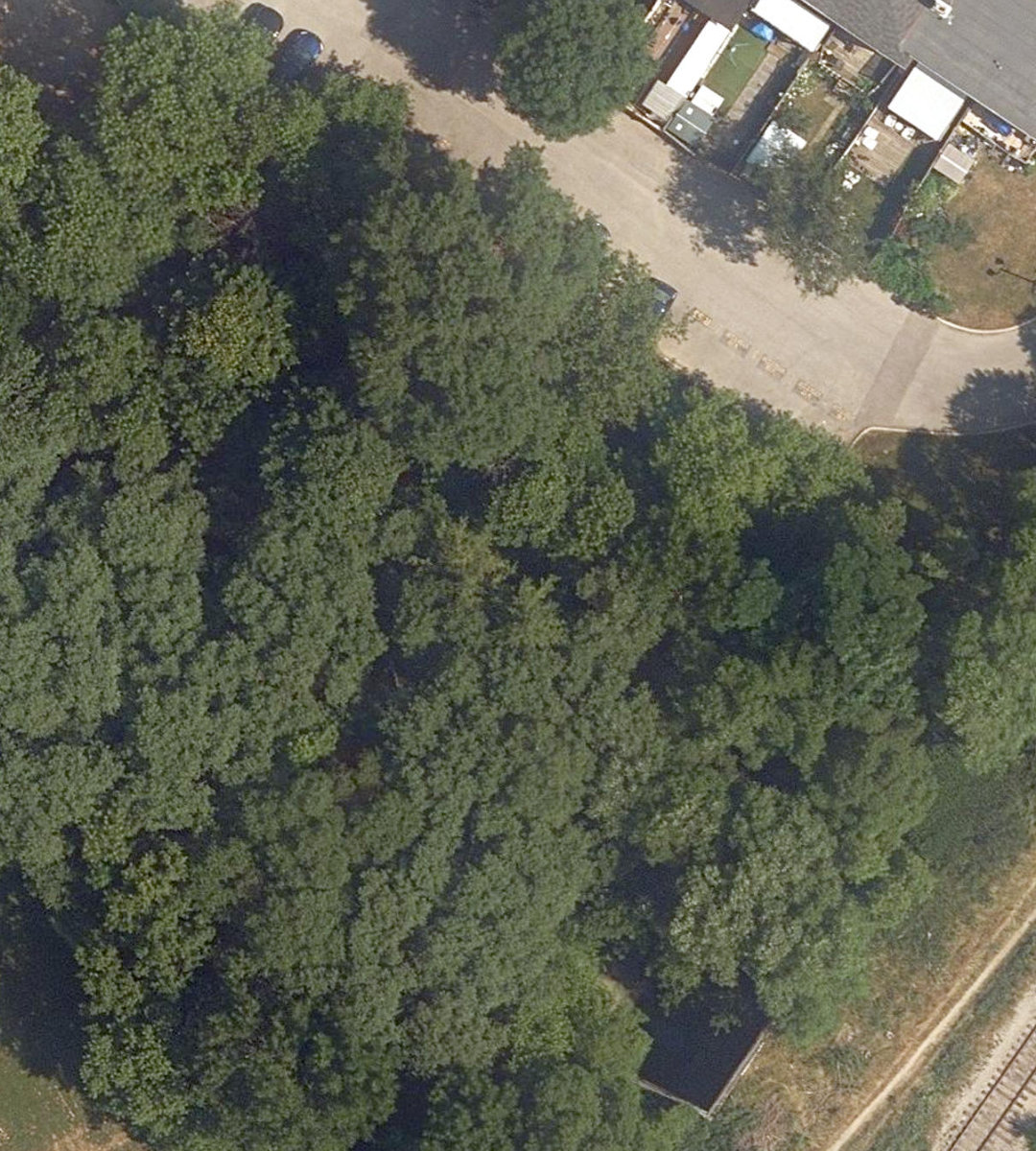 Massey Creek Ravine — site photograph