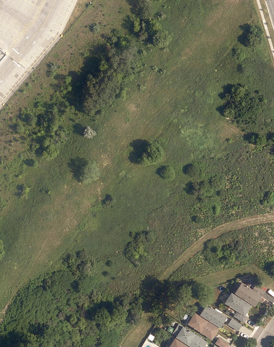 Jeanette Park — site photograph