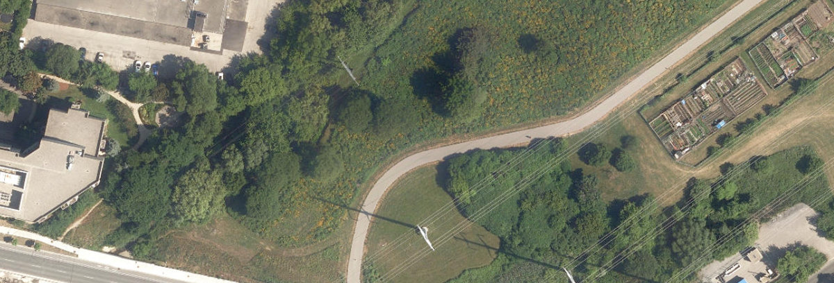 City Wide Open Space — site photograph