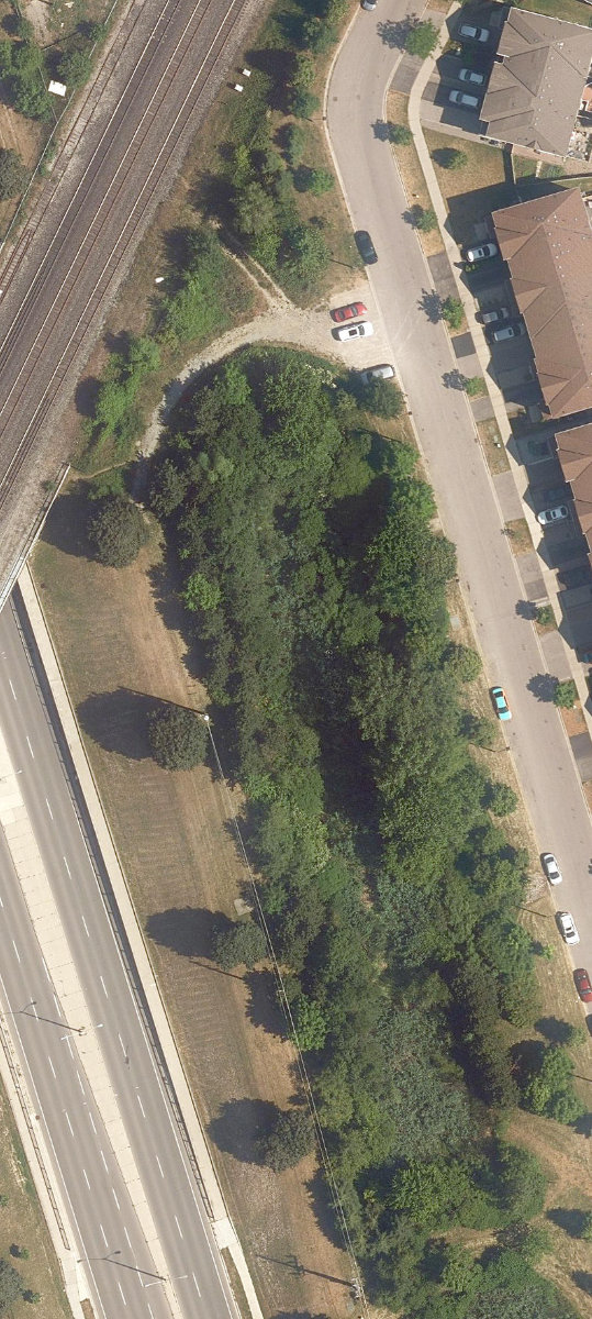 City Wide Open Space — site photograph