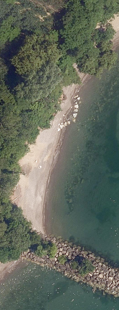 Lakefront Open Lands — site photograph