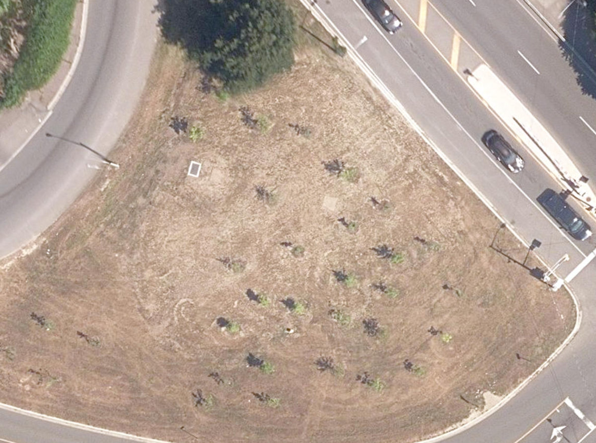 Rosedale Ravine Lands — site photograph