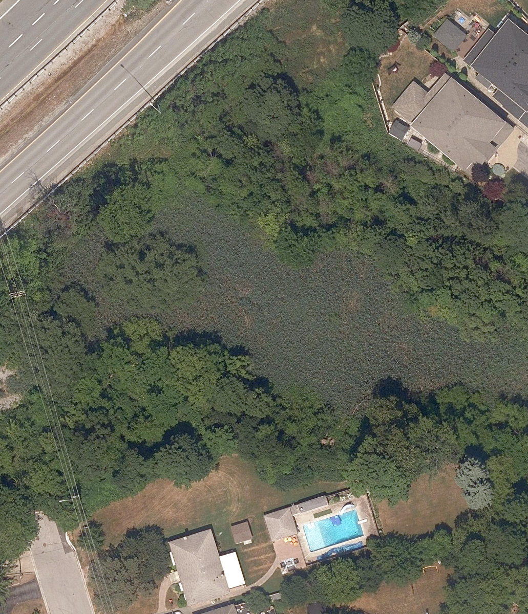 Laura Ellis Park — site photograph