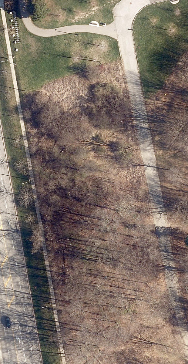 Downsview Park — aerial / top-down view