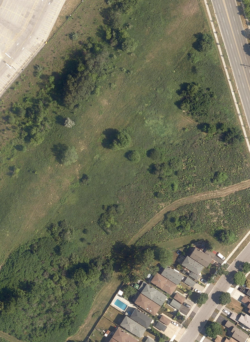 Jeanette Park — site photograph