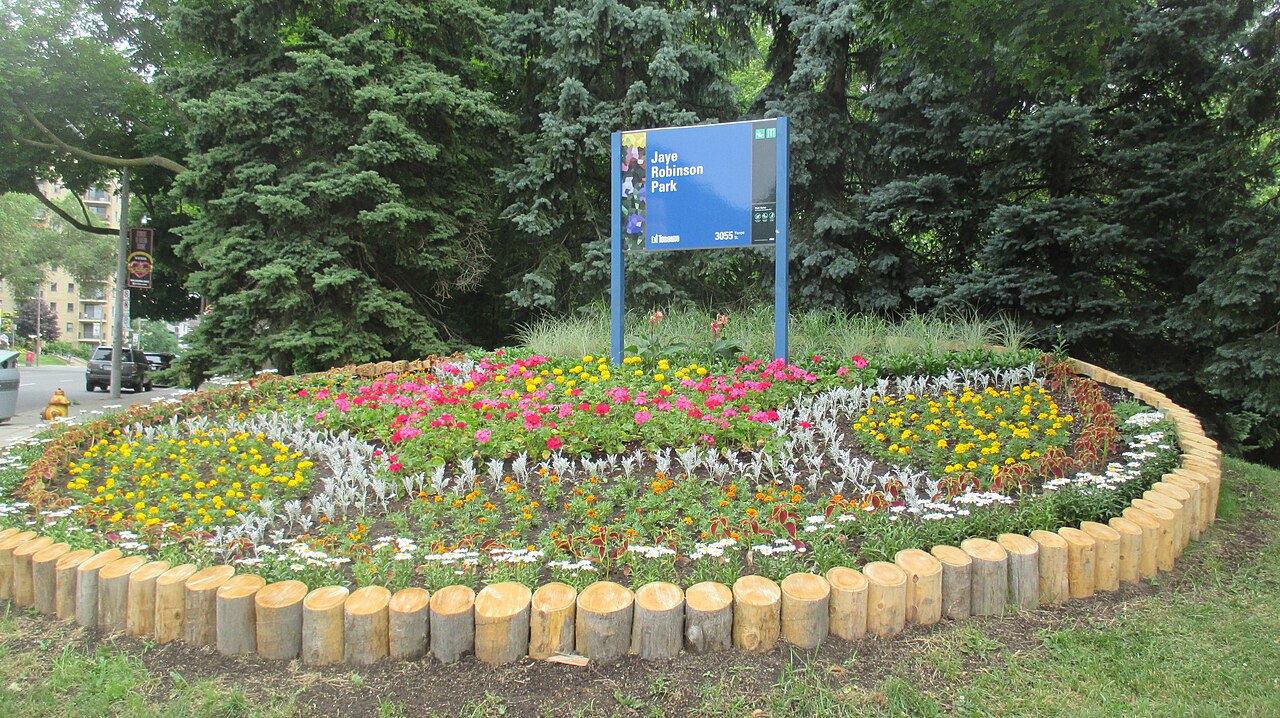 Jaye Robinson Park, site photograph
