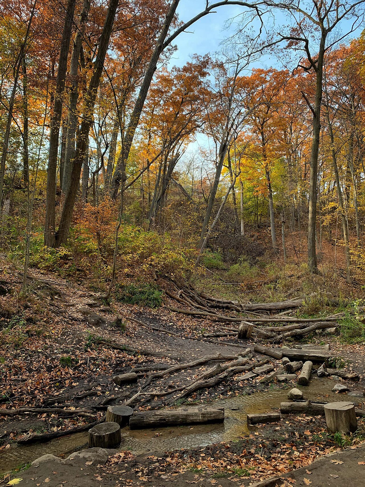 Glen Stewart Park, site photograph