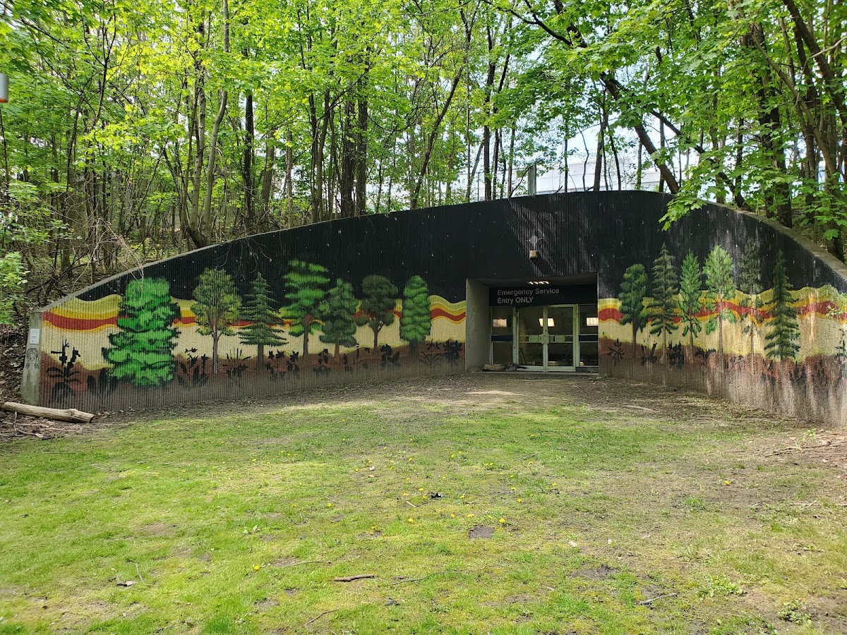 Nordheimer Ravine — site photograph