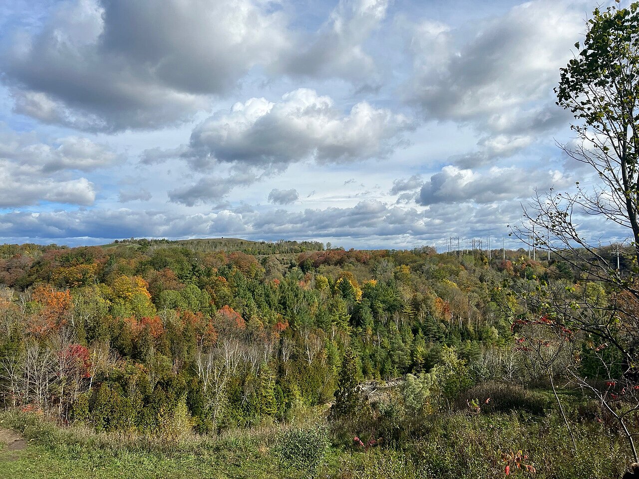 Rouge Park, site photograph