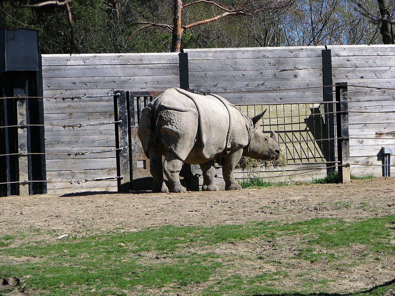 Toronto Zoo, site photograph