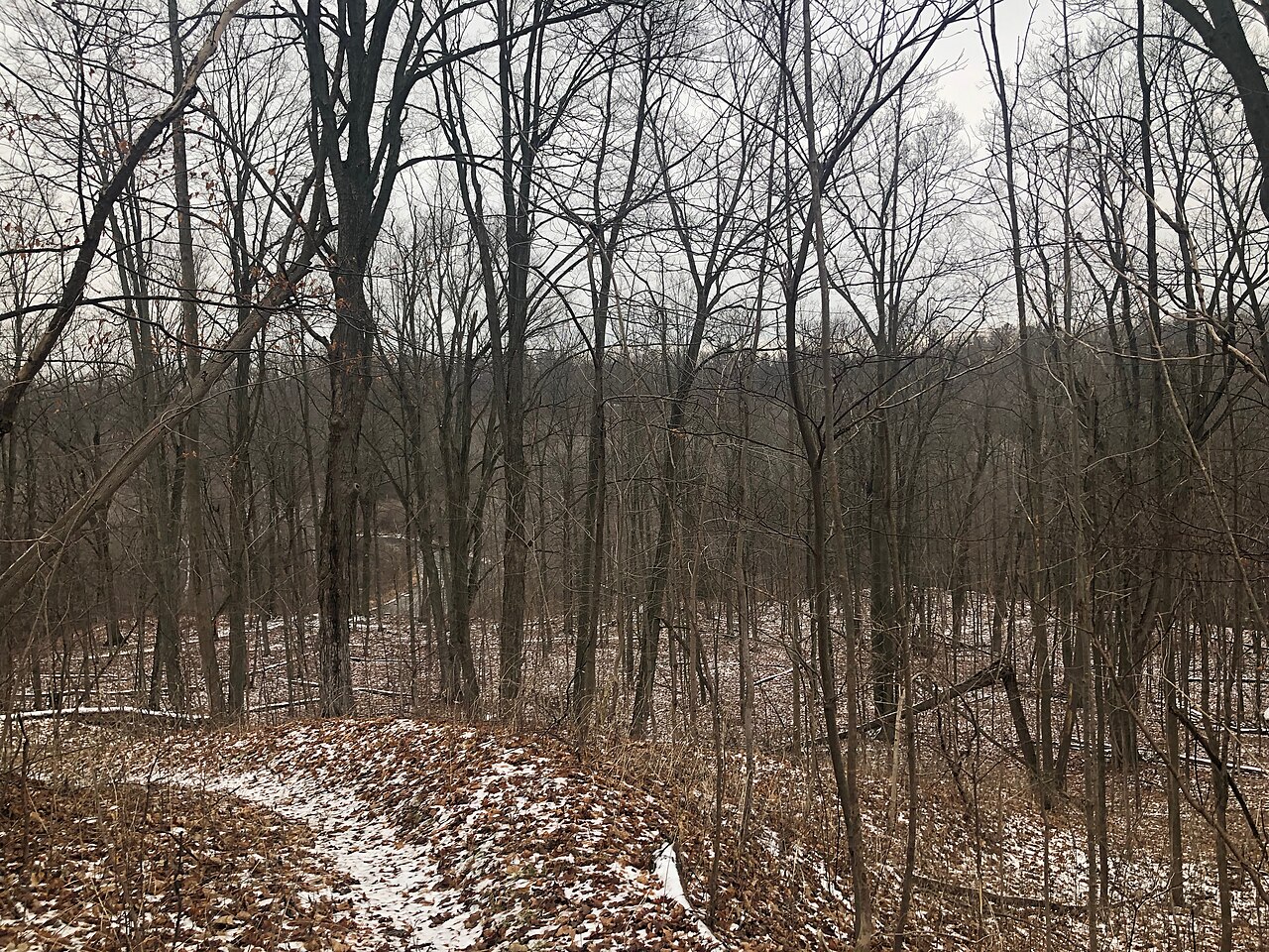 Rouge Park, site photograph
