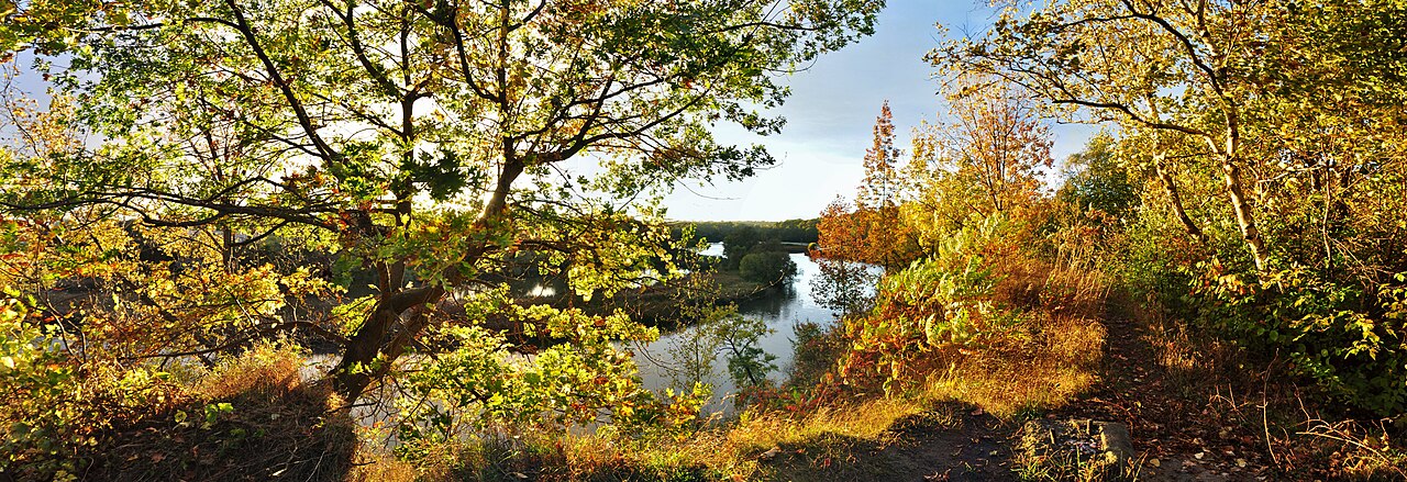Humber Marshes, site photograph