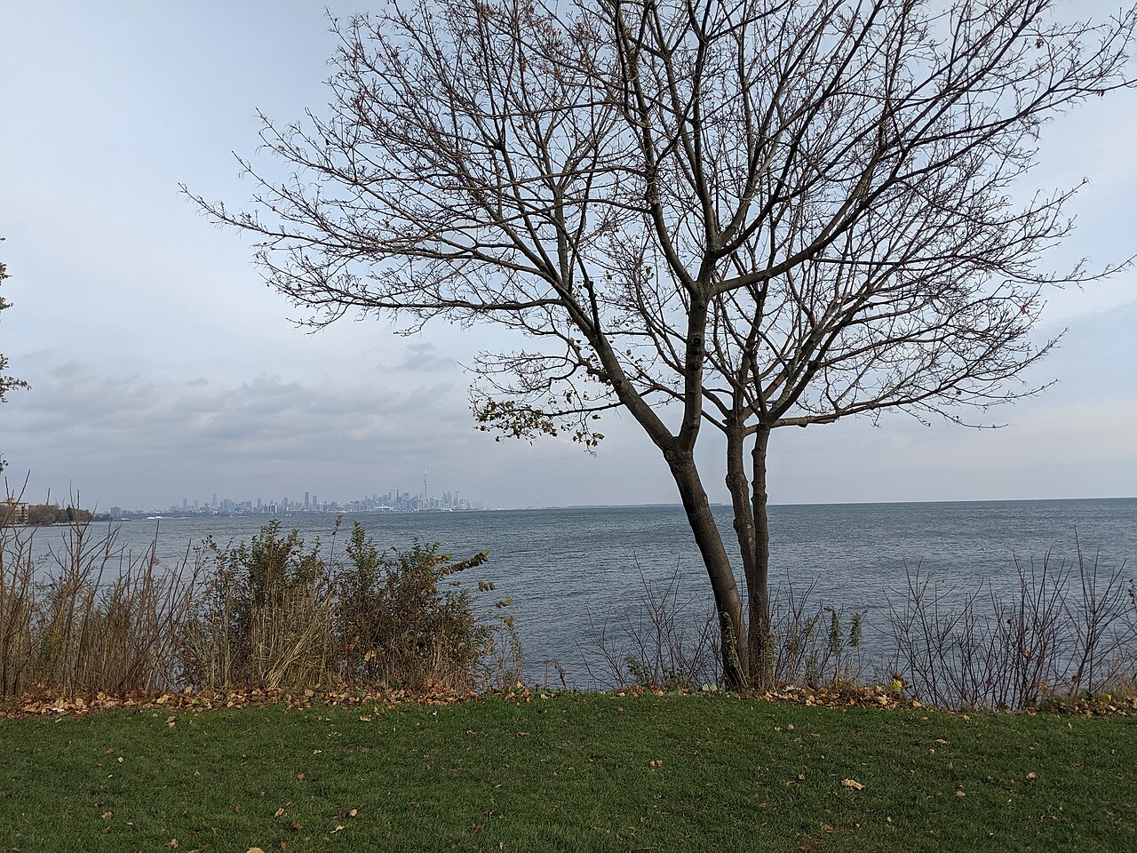 Cliff Lumsdon Park, site photograph