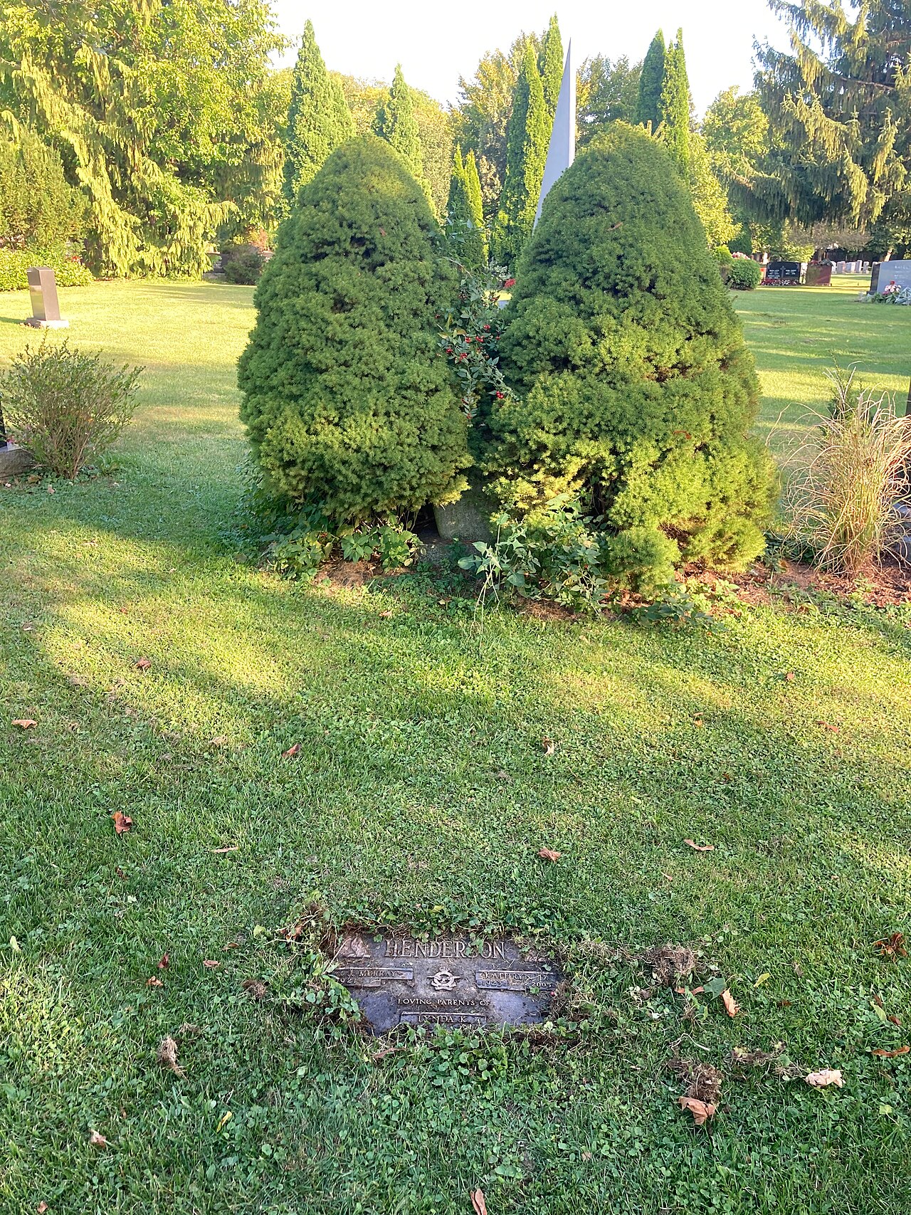 York Cemetery, site photograph