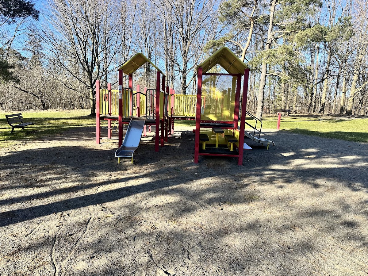 Adam'S Creek Ravine — site photograph