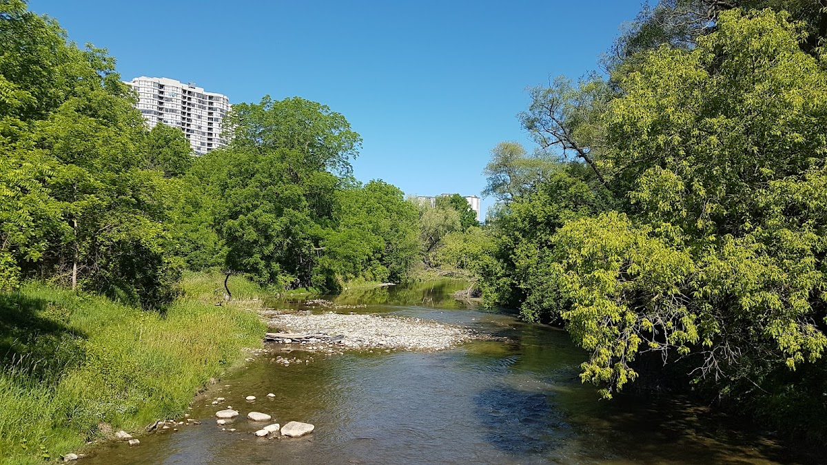 Rowntree Mills Park — site photograph