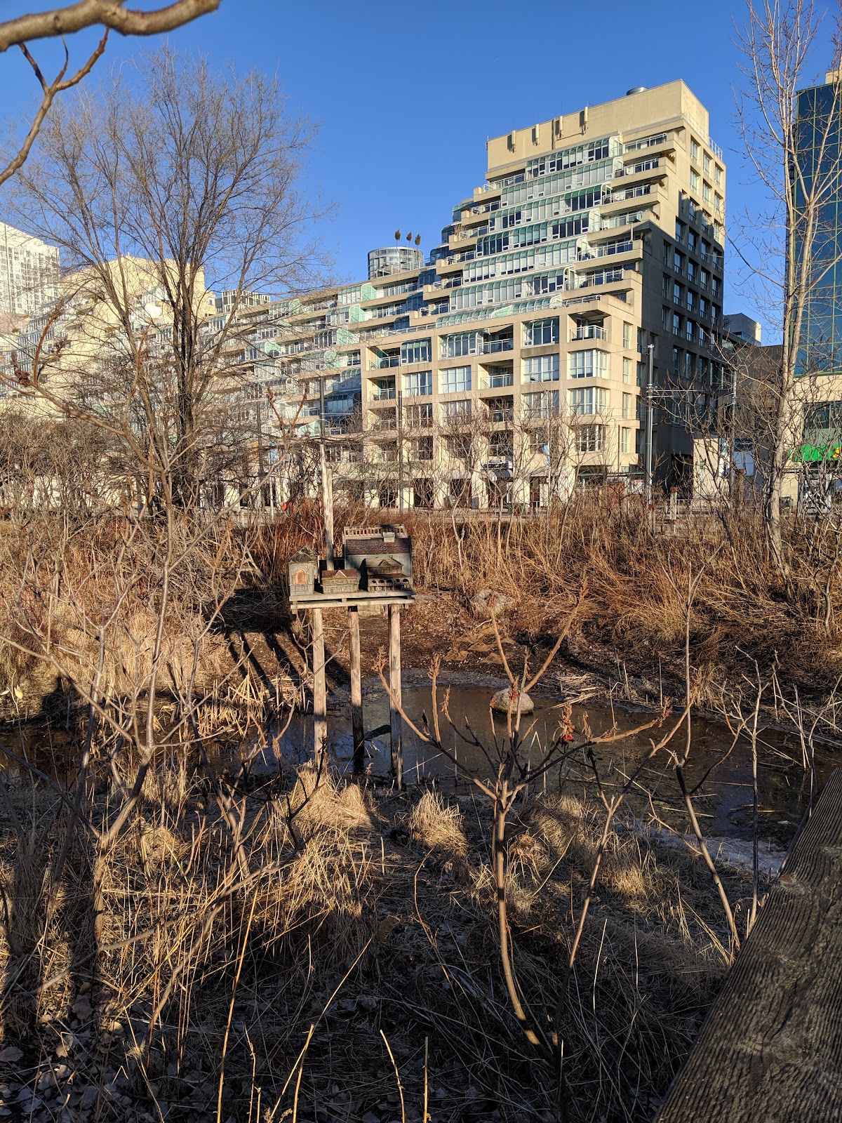 Spadina Quay Wetlands — site photograph