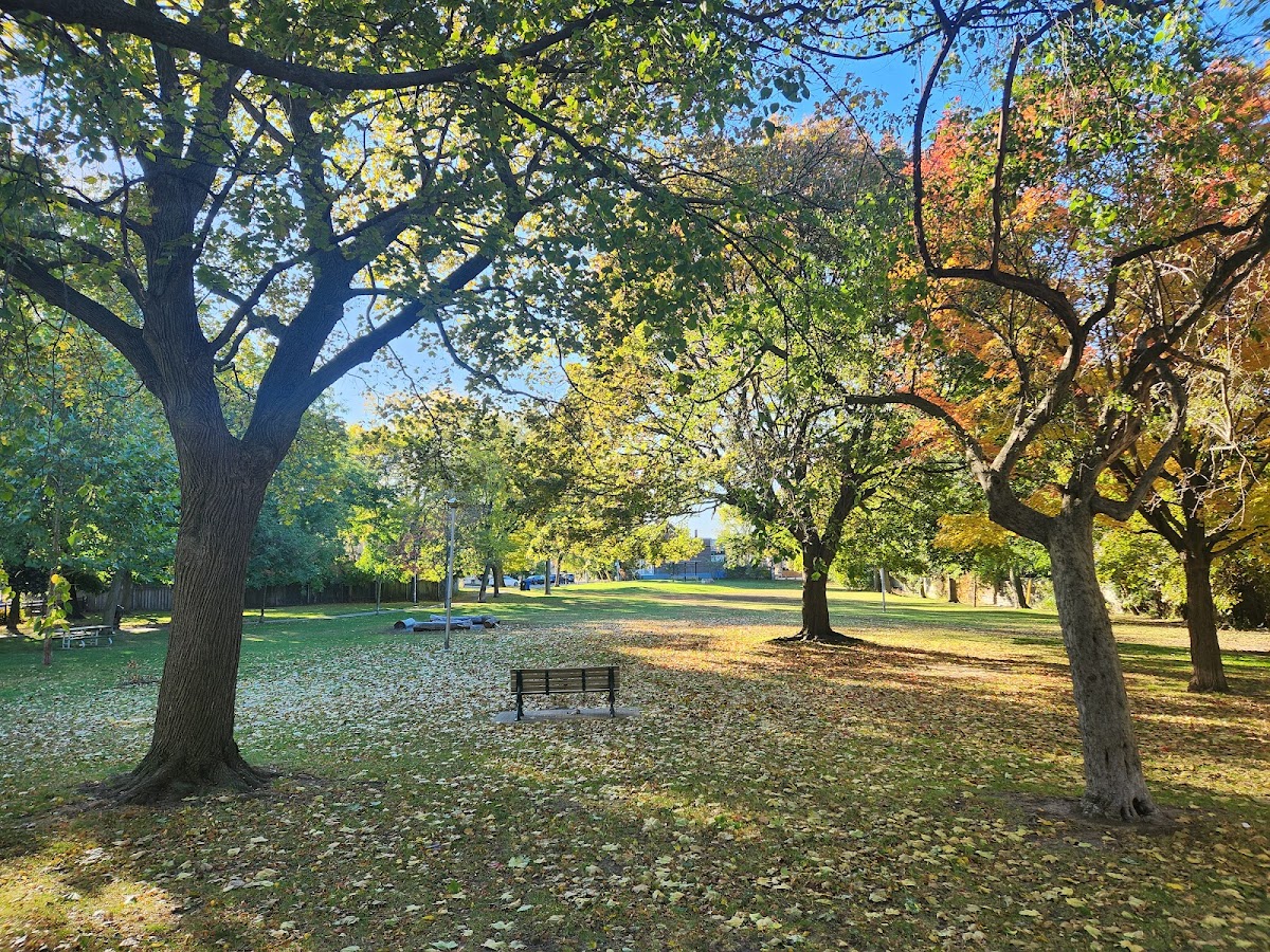 Orchard Park — site photograph