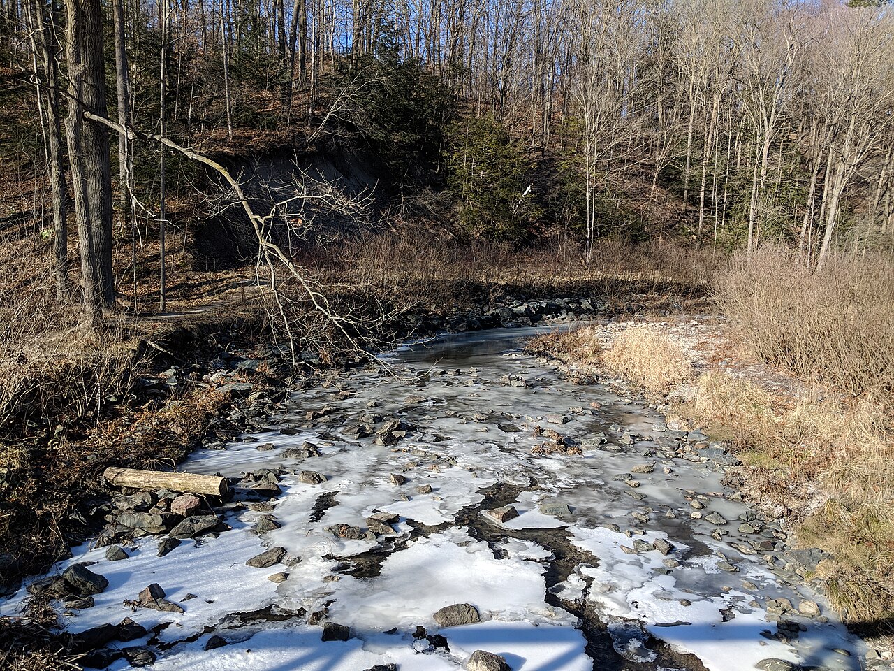 Wilket Creek Park, site photograph