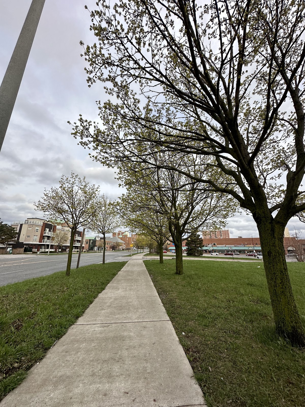Mclevin Woods Park — site photograph