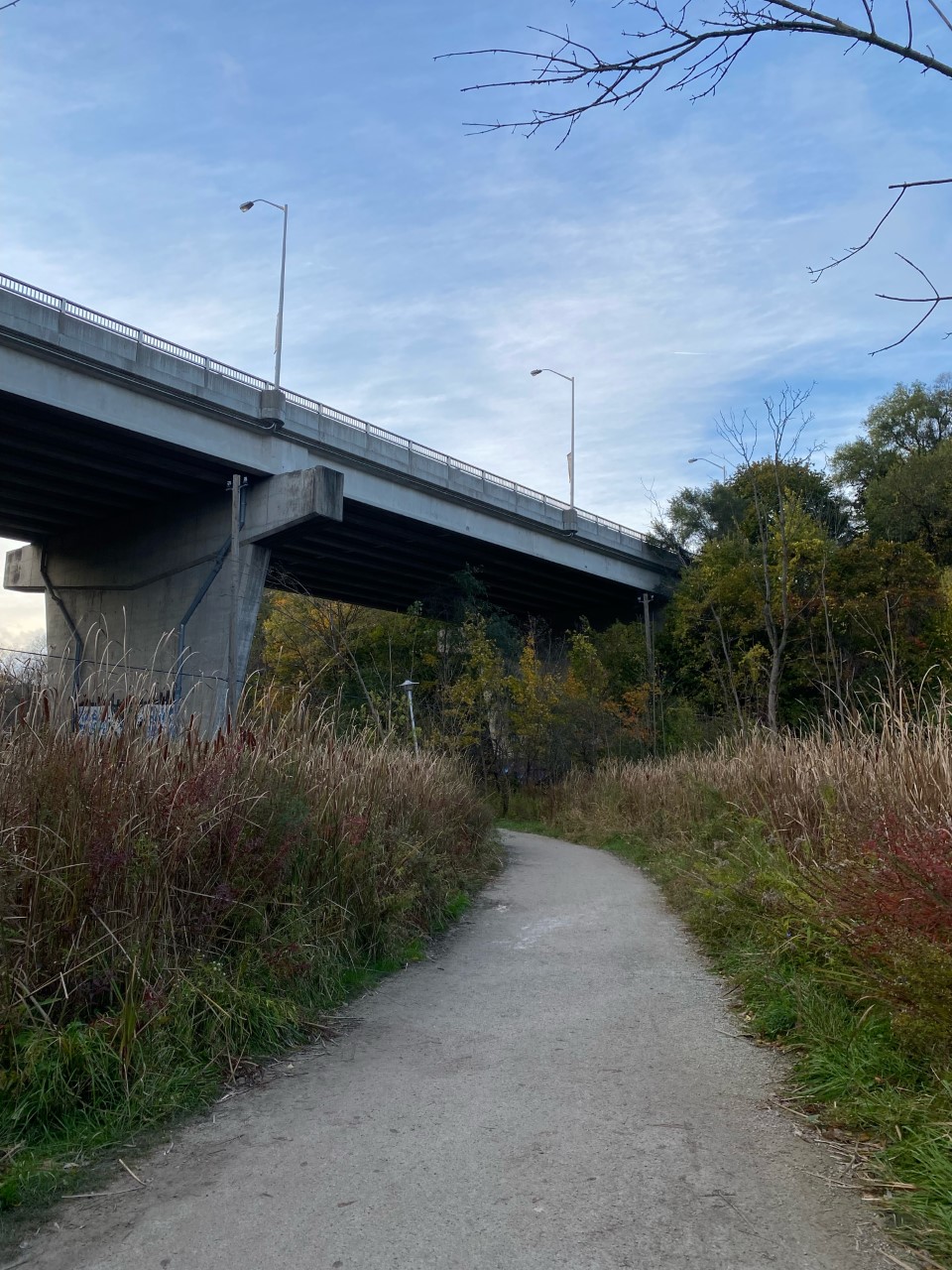 Cedarvale Ravine, site photograph