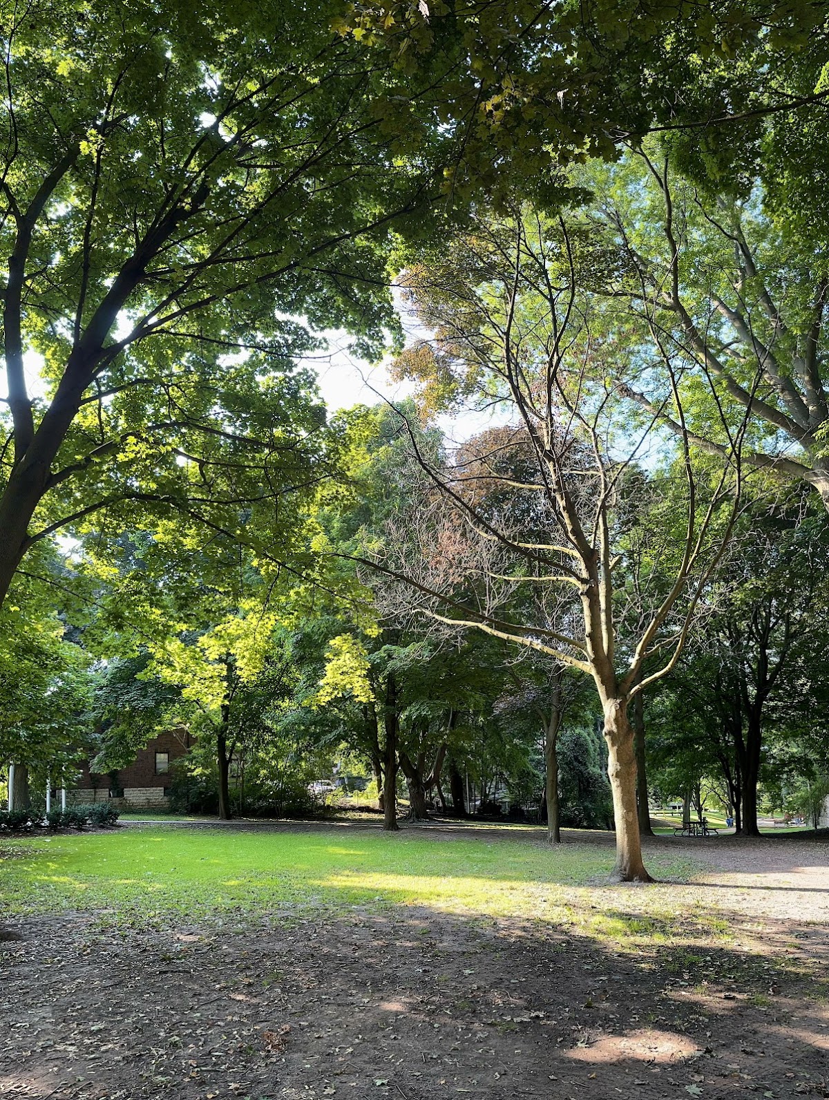 Suydam Park — site photograph