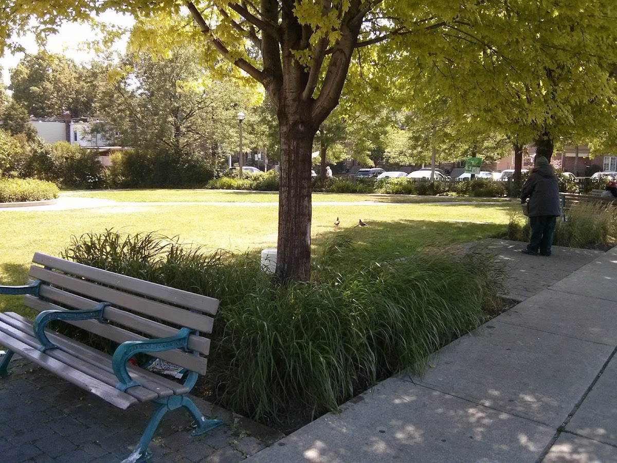 Robertson Parkette — site photograph