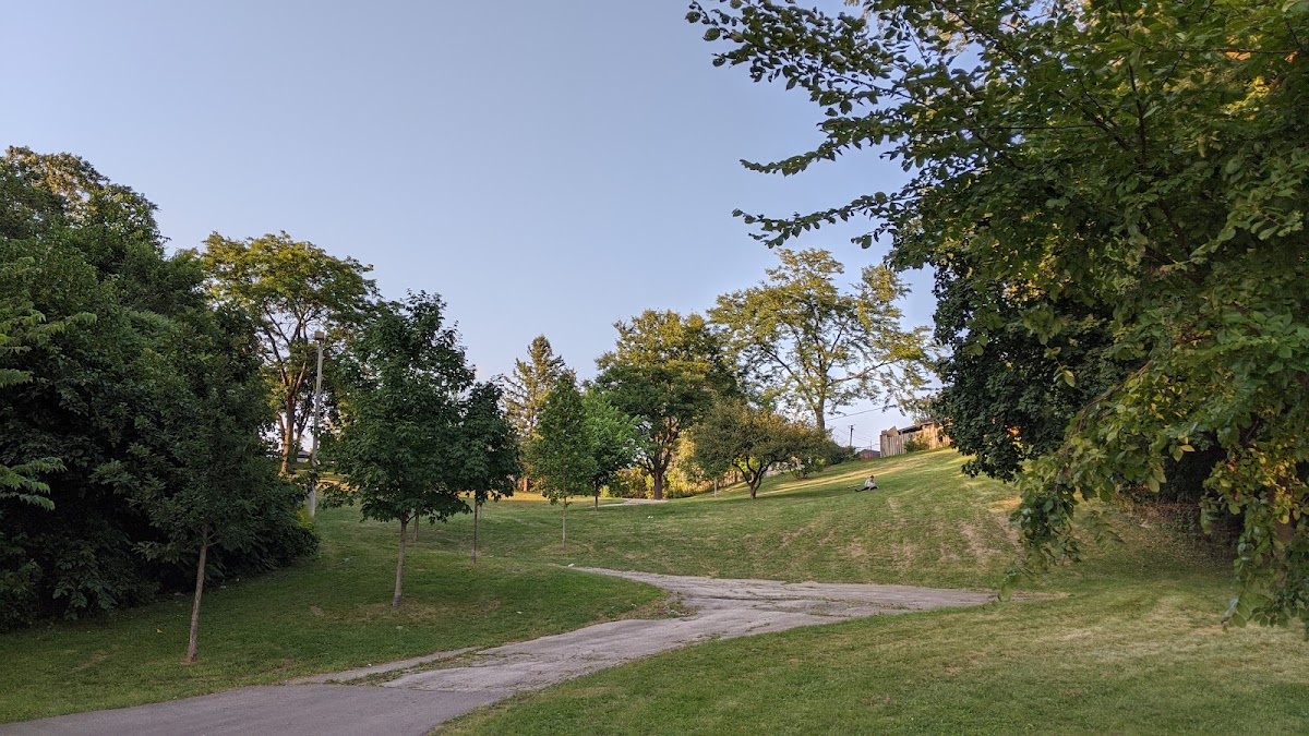 Dalrymple Park — site photograph