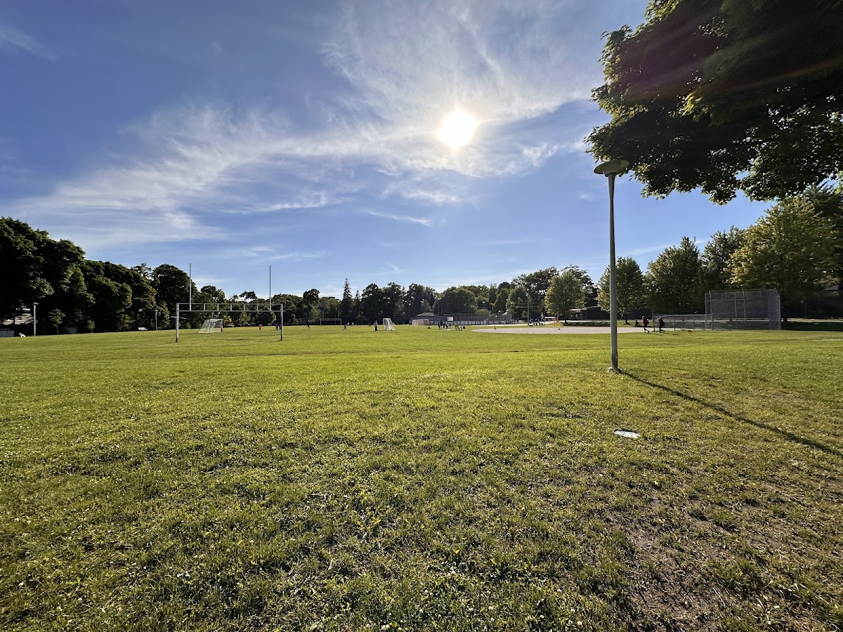 Rosedale Park, site photograph