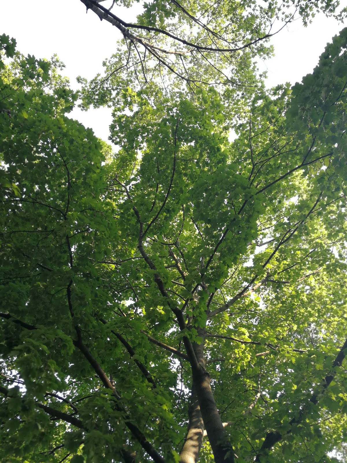 Malta Park — site photograph