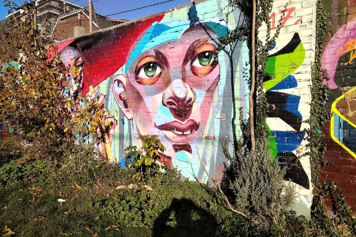 Sonya'S Park — site photograph