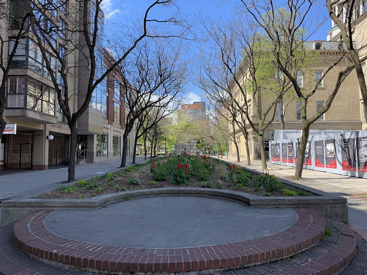 Market Lane Park — site photograph