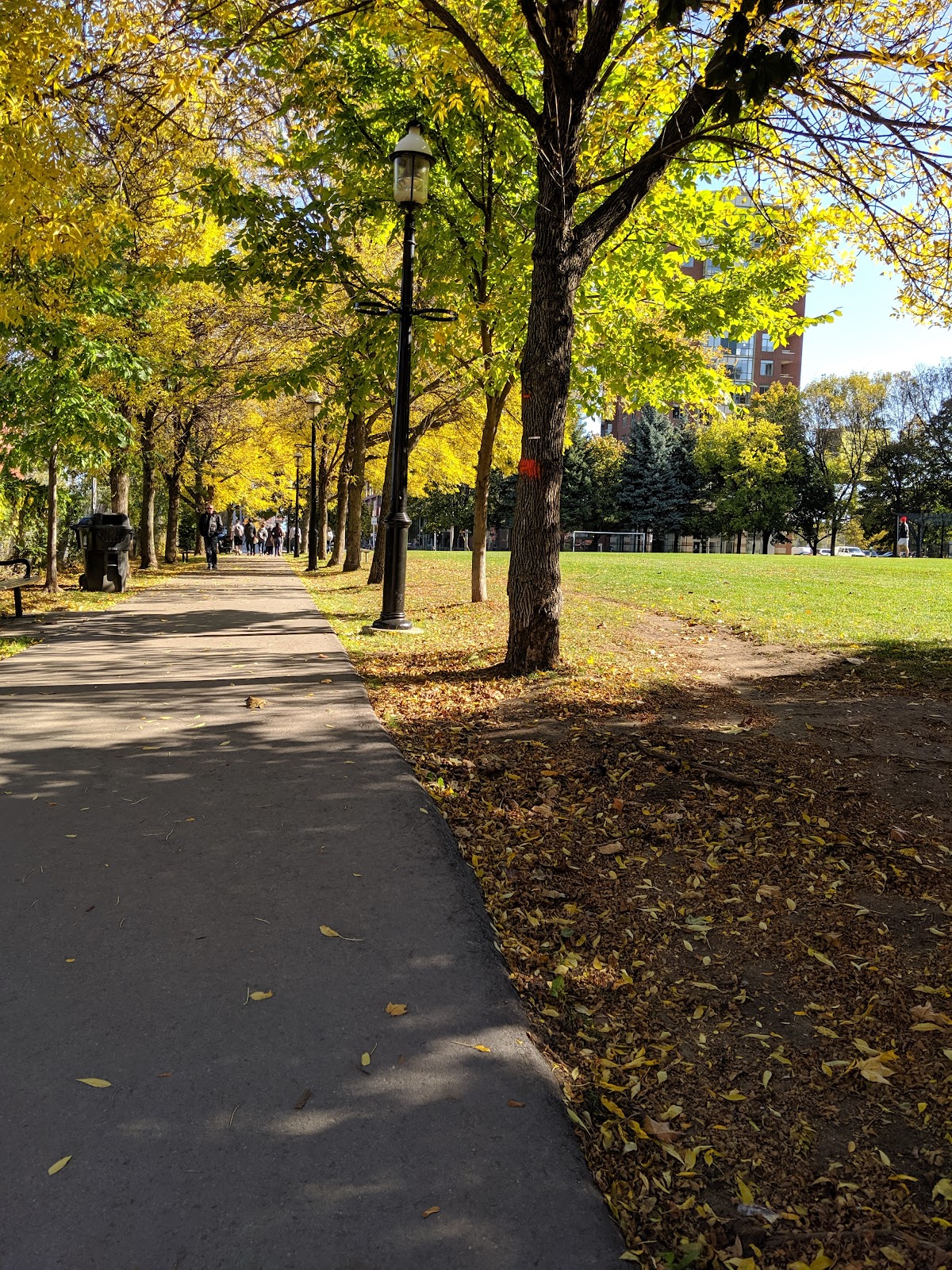 Parliament Square Park — site photograph