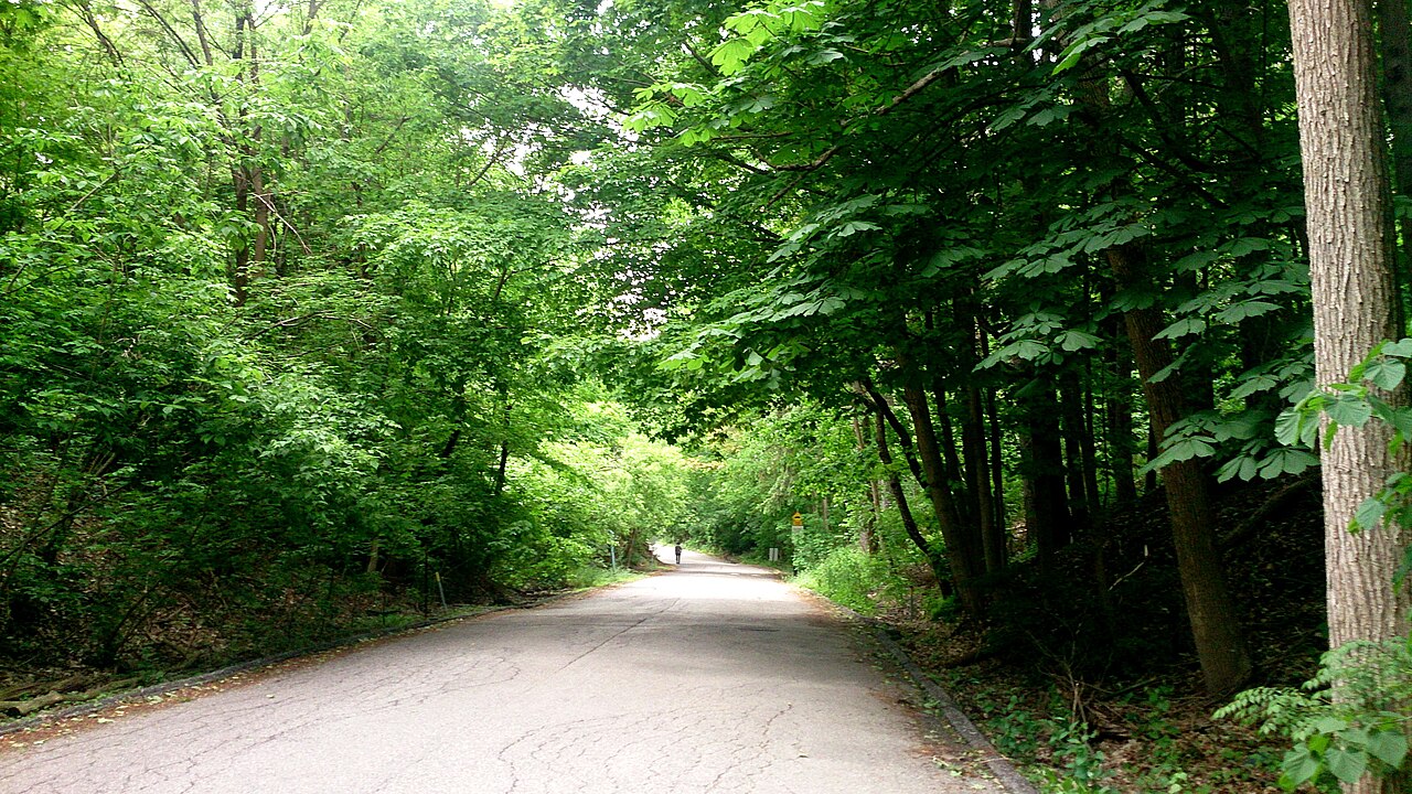 Sunnybrook Park, site photograph