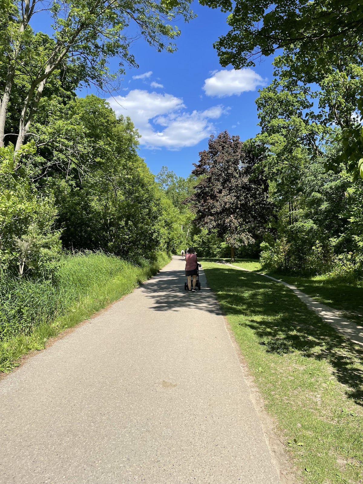 Coxwell Ravine Park — site photograph