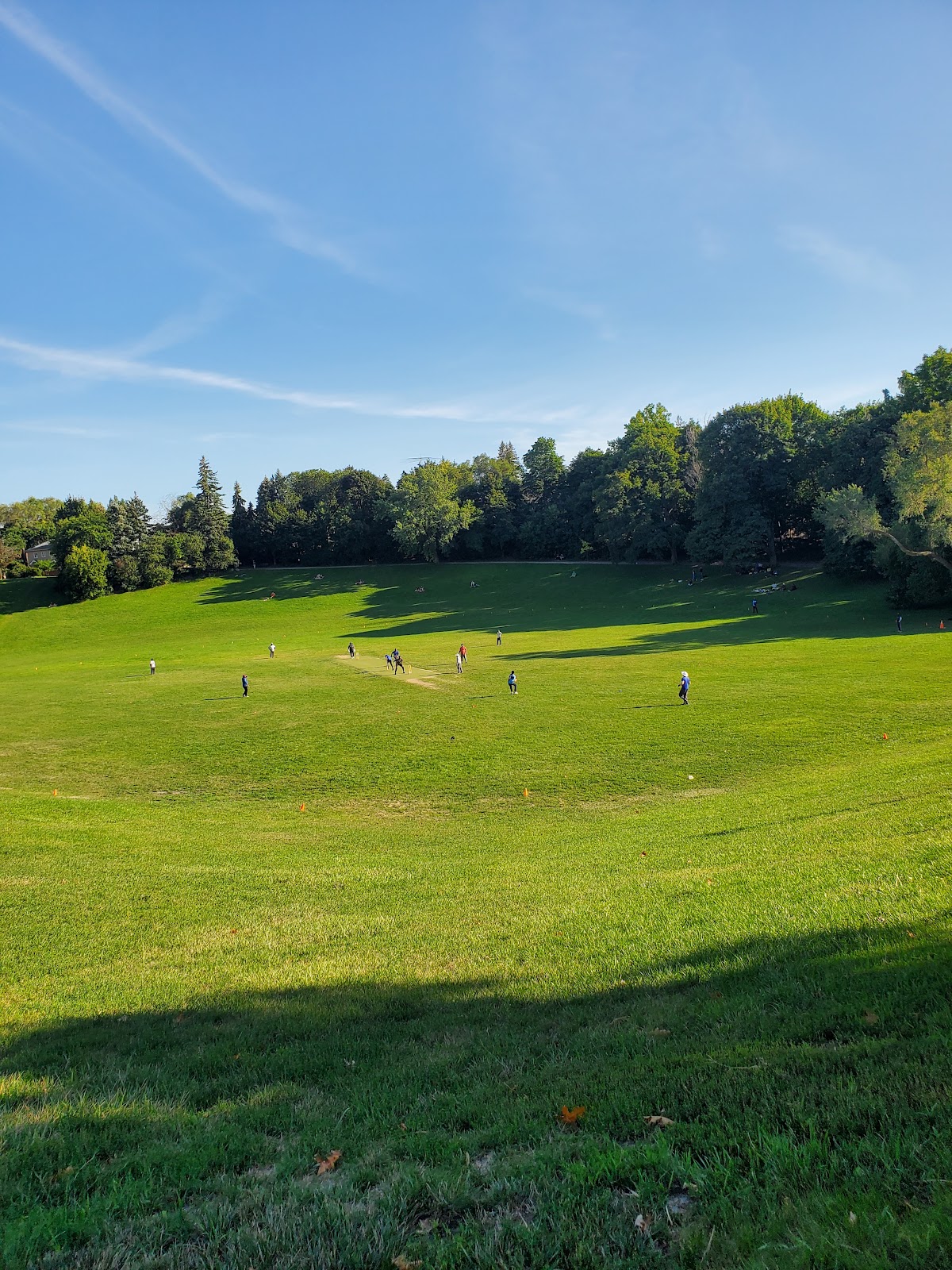 Cedarvale Park — site photograph
