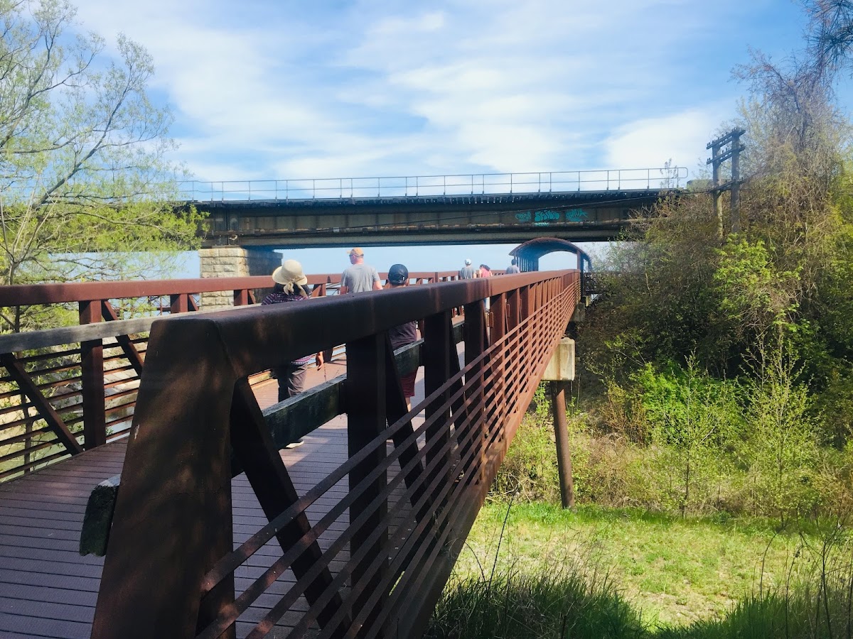 Lower Highland Creek — site photograph