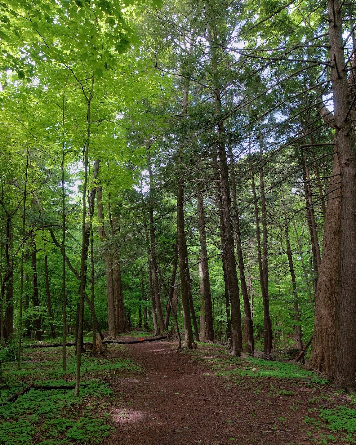 Three Valleys Park — site photograph