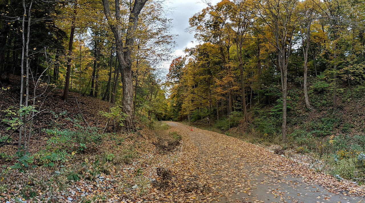 Earl Bales Park, site photograph