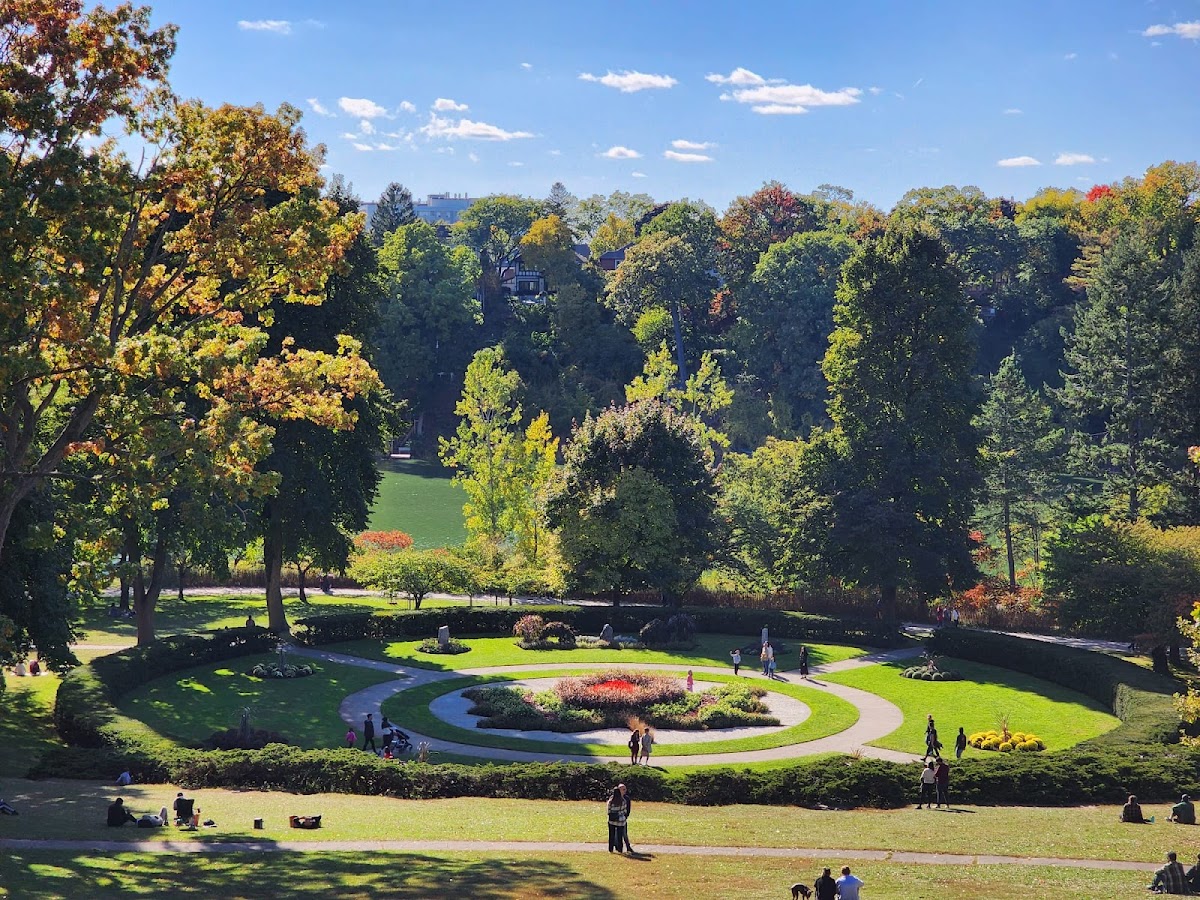 High Park — site photograph