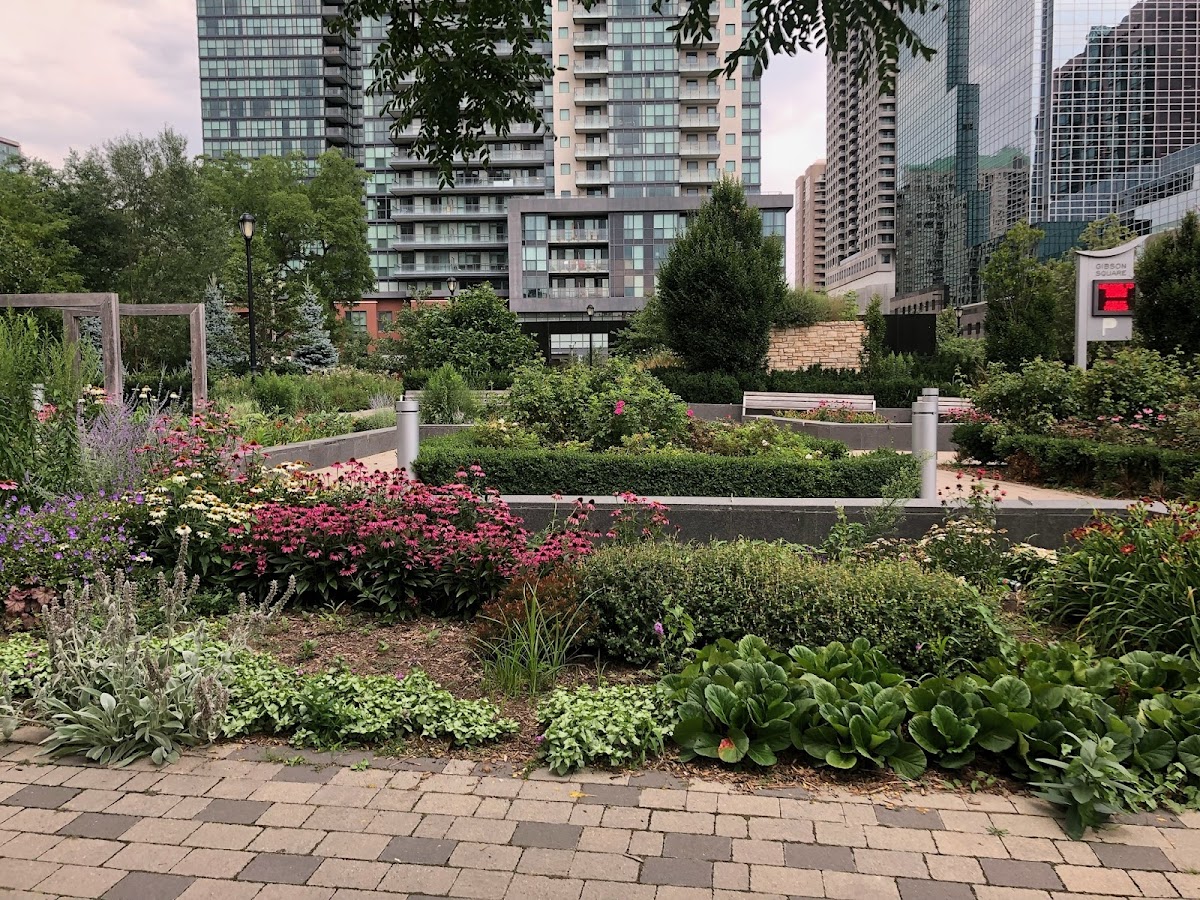 Gibson Park — site photograph