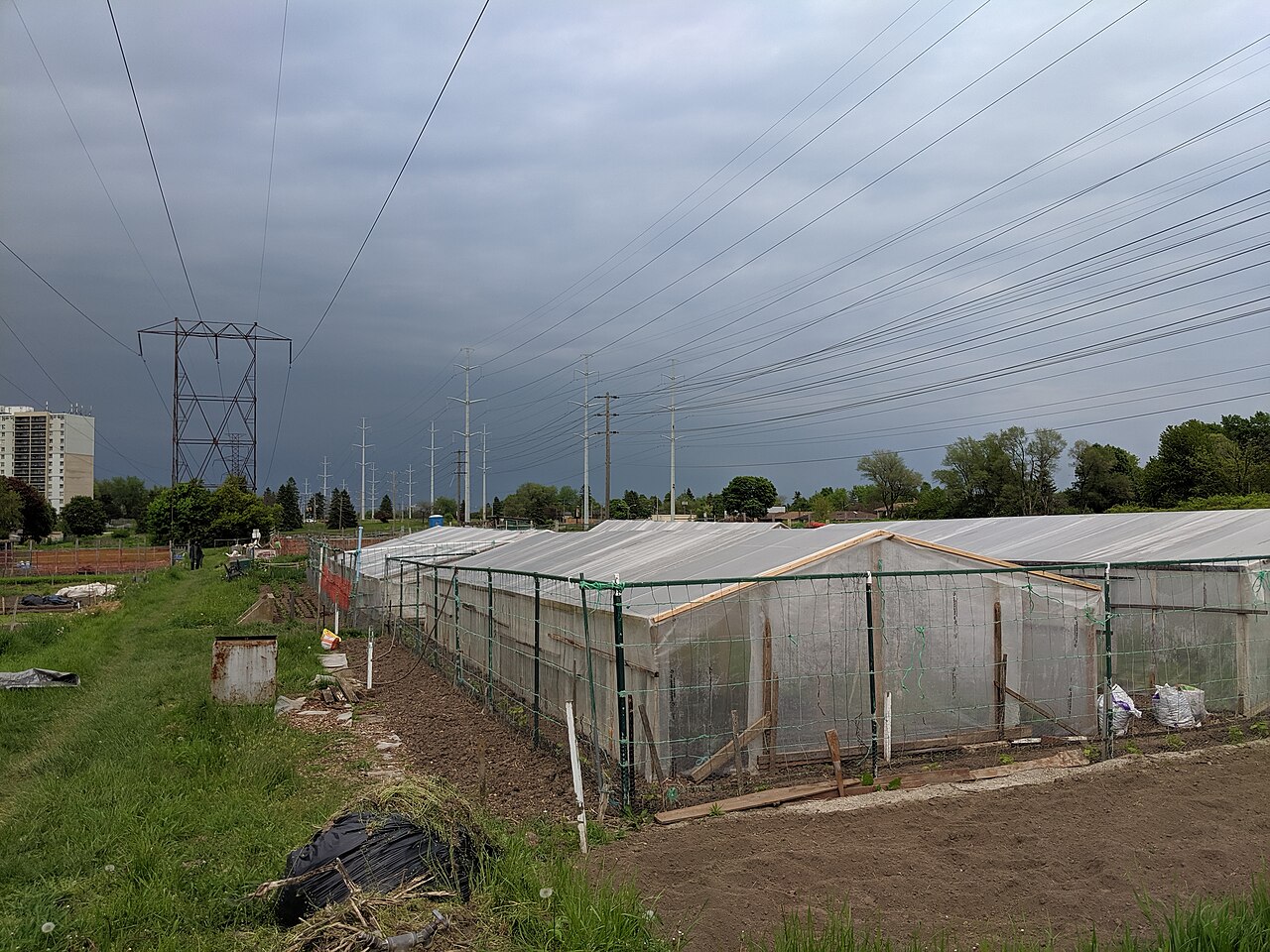Daventry Garden, site photograph