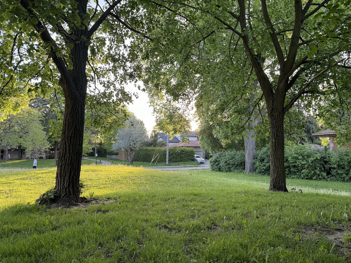 Hawksbury Park, site photograph