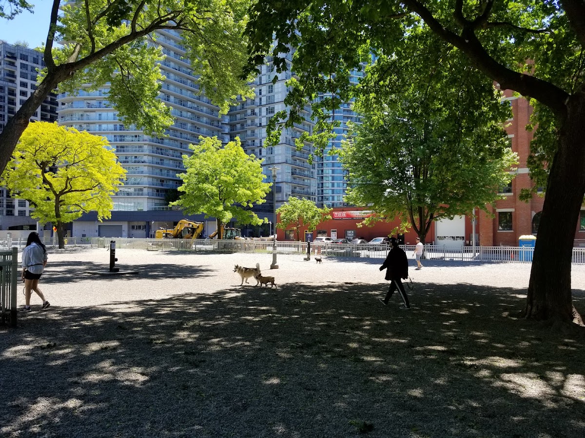 Clarence Square Park — site photograph
