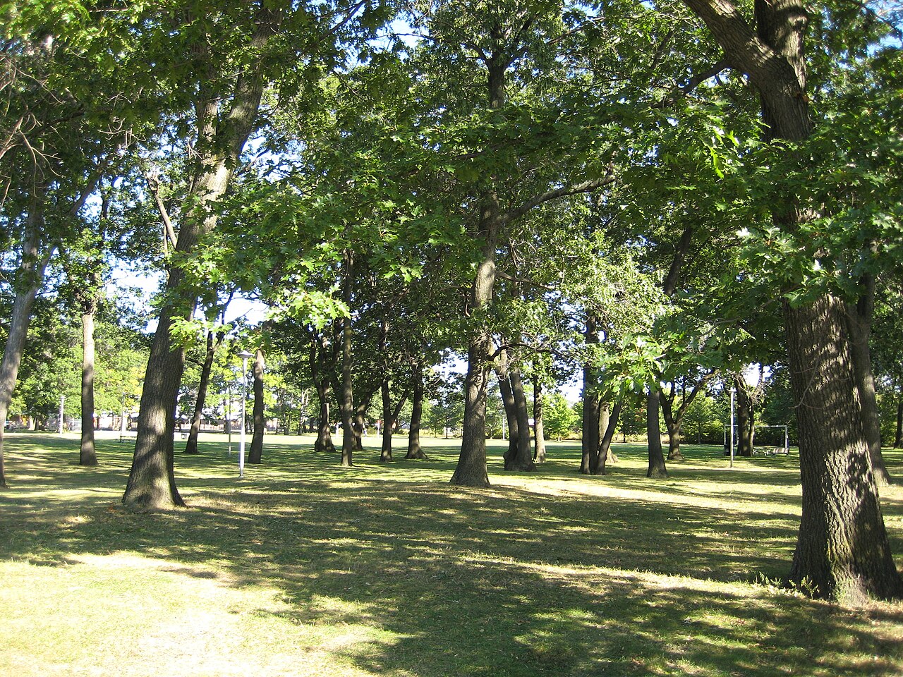 Runnymede Park, site photograph