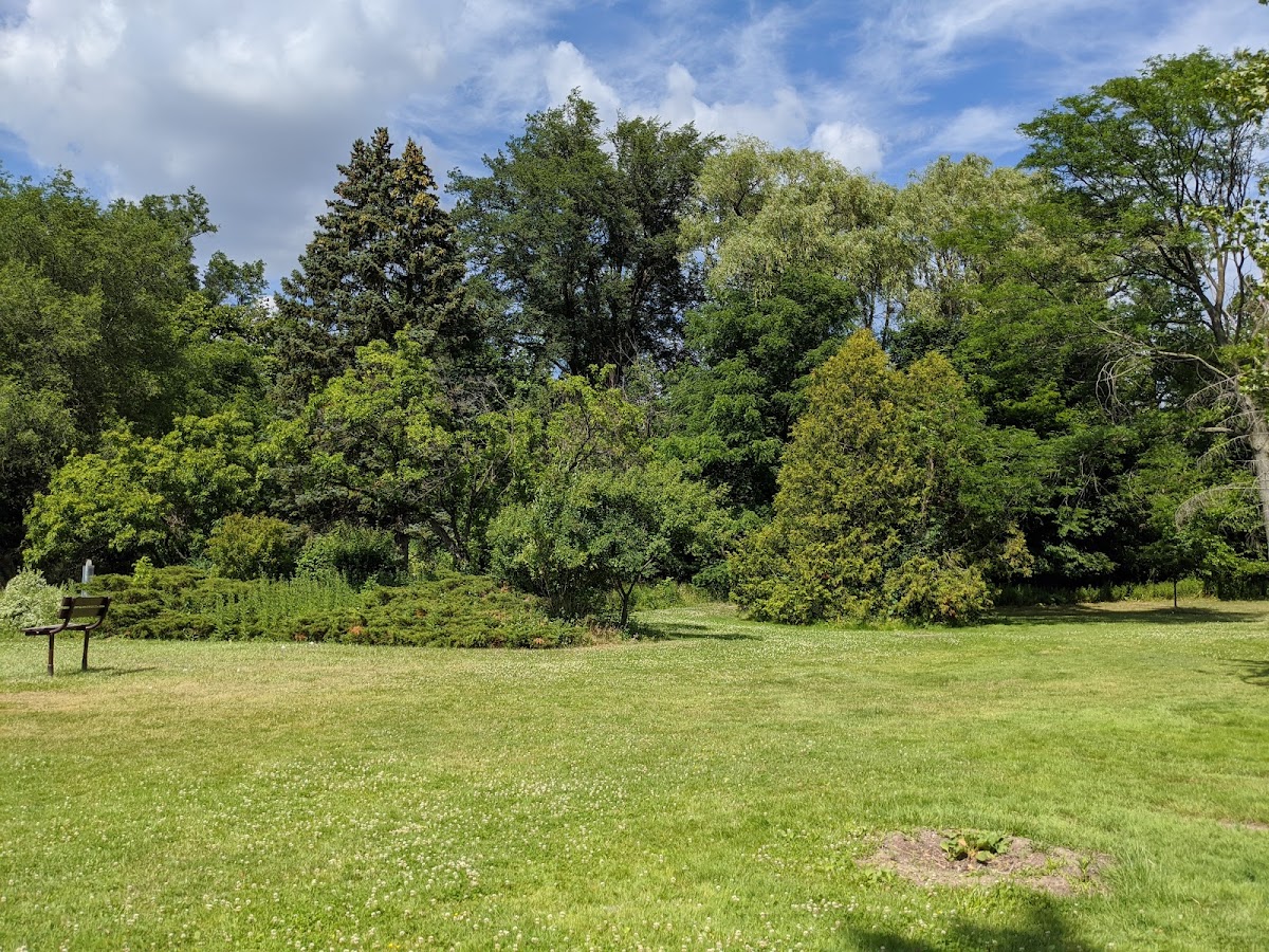 Curran Hall Ravine Park — site photograph