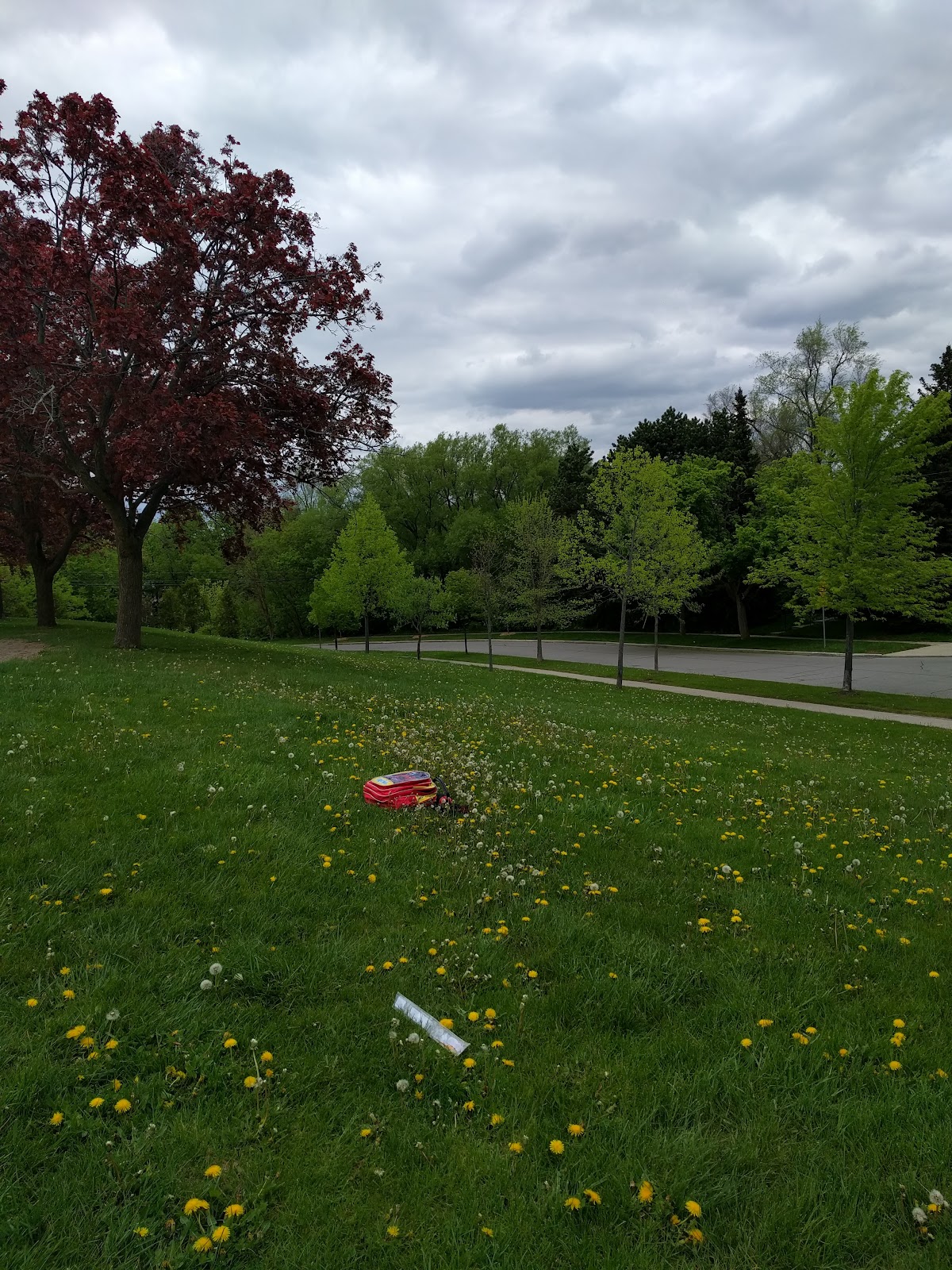 Cedargrove Park — site photograph